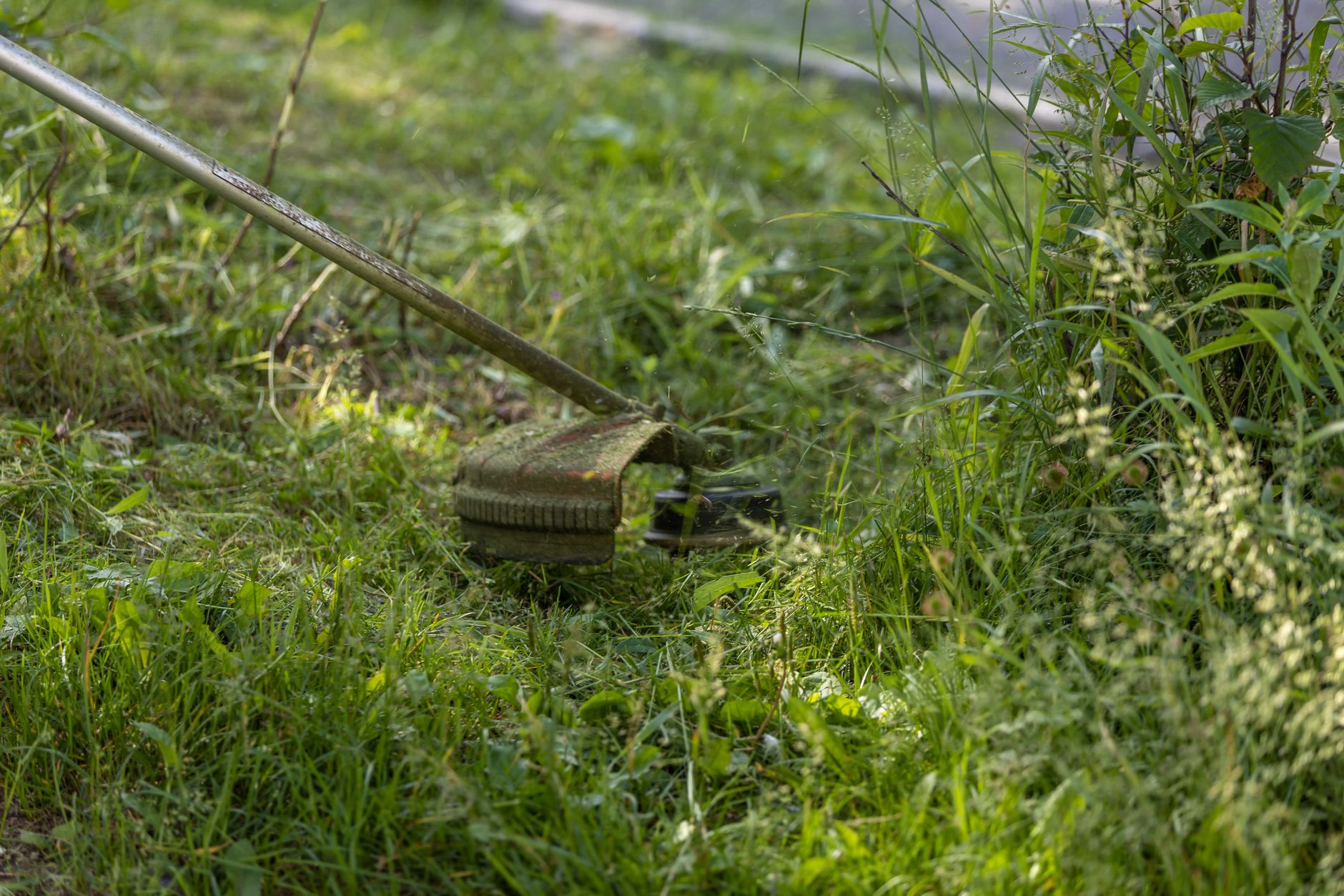 Professionelle Gartenpflege & Grünanlagen